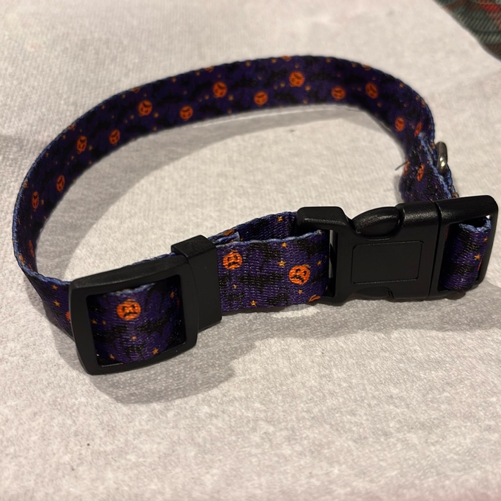 Medium - Large Halloween Dog or cat collar